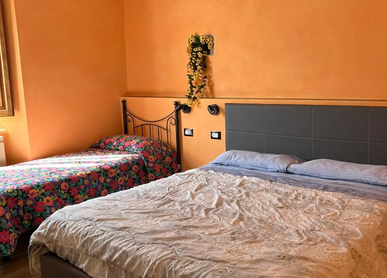 Bed & Breakfast B&B Da Paola Bardalone